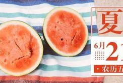 免费网红吃瓜公众号,免费公众号背后的秘密大曝光！