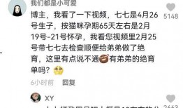 娱乐吃瓜君和七七道歉,揭秘背后真相