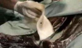 红装木乃伊爆料视频,揭秘古墓奇观背后的惊世之谜