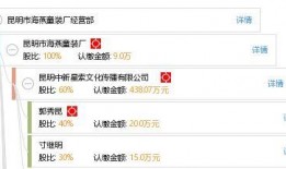 昆明爆料海燕视频播放网站,揭秘海燕视频播放网站背后的秘密