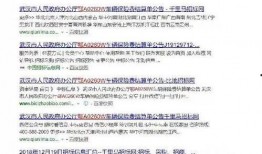 武汉爆料微信号大全最新,揭秘武汉最新资讯与生活圈动态
