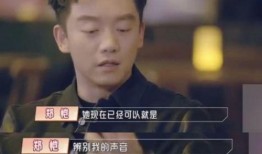 杜淳爆料郑凯视频播放,揭秘娱乐圈不为人知的一面