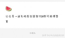 娱乐吃瓜爆料去哪里找啊,吃瓜爆料一手掌握，热门资讯一网打尽