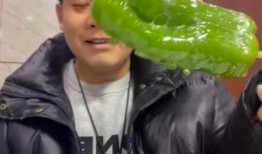 和县网红吃瓜事件视频,一场网络狂欢背后的真相揭秘