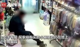 湛江探店爆料事件视频,揭秘网红美食背后的真相