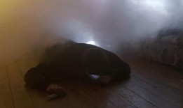 脱罪在线观看,揭秘网络直播背后的真相