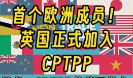 今日头条 爆料王观察,揭秘热门事件背后的真相与内幕