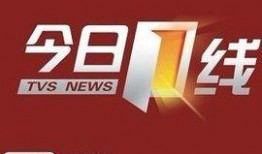 湛江今日一线新闻爆料,揭秘湛江最新热点事件！