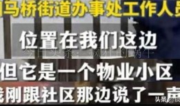 四川成都爆料视频,揭秘城市热点事件