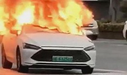 爆料海豚自燃视频大全播放,海豚自燃视频大全引发热议