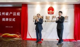 温州领导爆料新闻报道视频,揭秘温州发展背后的故事