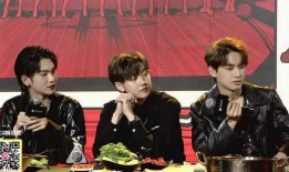 新会爆料小哥视频大全集,揭秘视频大全集背后的精彩瞬间