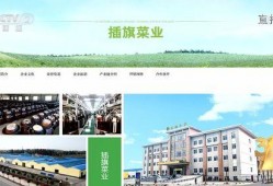 插旗菜业爆料新闻