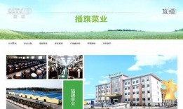 插旗菜业爆料新闻