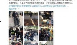 新疆网友爆料视频大全,真实记录大美新疆