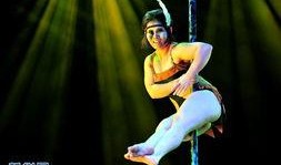 钢管舞在线观看,在线观看，感受舞动之美