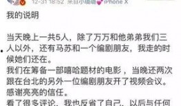 卓伟爆料博主视频在线观看,独家内容在线观看大揭秘