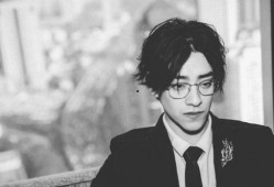 爆料娱乐圈郑云龙小说,娱乐圈背后的爱情传奇