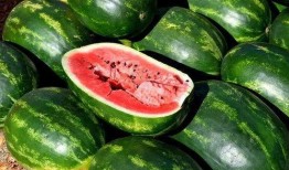 网红吃瓜大全名字图片,揭秘热门事件背后的图片故事