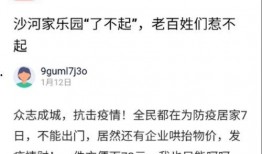 沙河视频爆料者是谁,揭秘沙河视频爆料者身份之谜