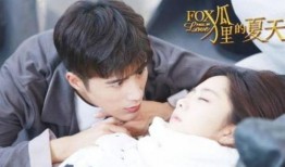 狐狸的夏天第二季在线观看免费,免费在线观看，夏日浪漫续集来袭！