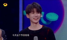 王源爆料杨迪视频播放下载,揭秘幕后下载幕后故事