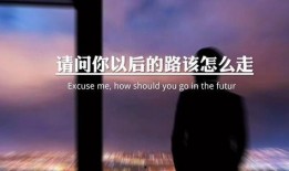 情感语录爆料视频素材下载,揭秘视频素材中的感人瞬间