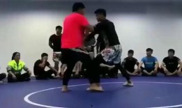 张太海爆料王占海视频播放