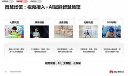 云瑾视频爆料大全最新网站,最新网站内容概览