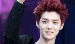 鹿晗爆料刘壮实视频大全,视频大全揭秘惊人内幕