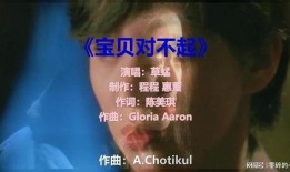 宝贝对不起在线观看