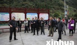 鹤峰县新闻爆料热线,倾听民声，守护平安的桥梁