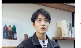 娱乐圈爆料粉丝文,粉丝文揭露明星背后的秘密