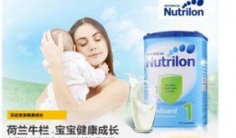 荷兰奶粉爆料视频播放网站,真相与争议并存