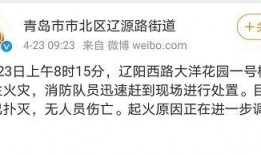 最新辽阳爆料消息今天,揭秘神秘事件背后的真相！