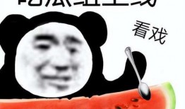 娱乐吃瓜酱怼亲戚,揭秘家庭欢乐背后的真相