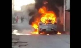 爆料海豚自燃视频大全播放,海豚自燃视频大全引发热议