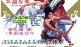 金瓶双艳在线手机观看,手机在线，激情再现