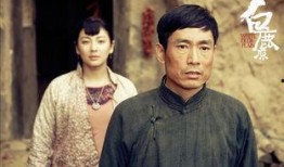 白鹿原电视剧全集在线观看一,穿越百年沧桑，见证家族兴衰