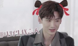 刘大锤爆料 白敬亭视频,揭秘明星幕后生活片段