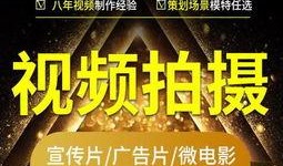 最新石狮爆料视频,现场实况直击