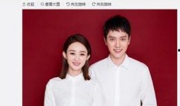 娱乐圈爆料粉丝文,粉丝文揭露明星背后的秘密