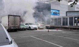 爆料海豚自燃视频大全播放,海豚自燃视频大全引发热议