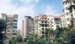 万辉国际城爆料视频,真实情况曝光