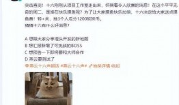 燕云最新爆料,最新爆料背后的惊人真相