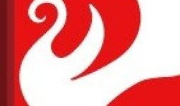 德州日报爆料新闻