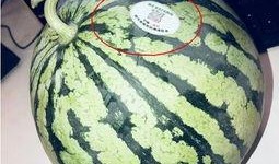 网红家暴吃瓜,吃瓜群众热议，真相究竟如何？
