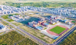 甘肃华亭小天鹅最新爆料