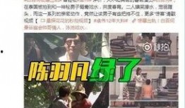 最新爆料陈宣璐视频,揭秘幕后故事与精彩瞬间