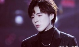 刘大锤最新爆料刘宇宁经纪人,幕后真相引热议